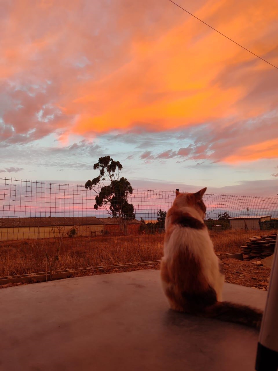 2 Bedroom Property for Sale in Koringberg Western Cape